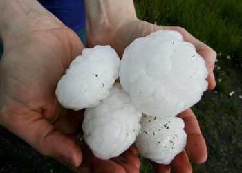 a-giant-hailstorm-just-killed-an-emu-at-a-missouri-zoo-–-scientific-american