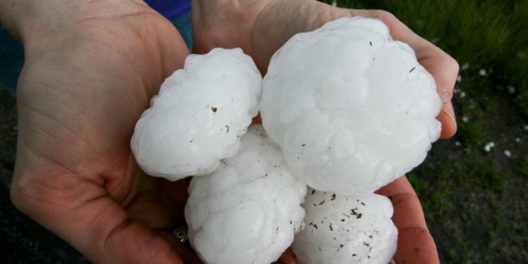 a-giant-hailstorm-just-killed-an-emu-at-a-missouri-zoo-–-scientific-american