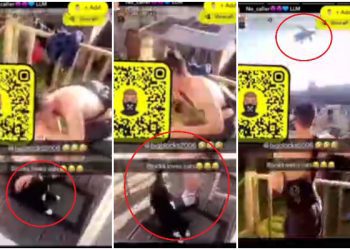 ‘callous’-fishponds-teenager-threw-cat-off-balcony-in-snapchat-video