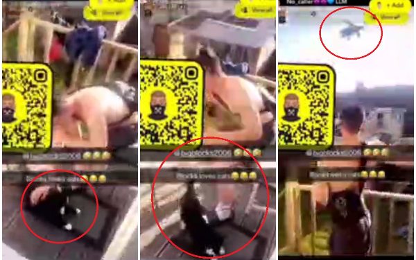 ‘callous’-fishponds-teenager-threw-cat-off-balcony-in-snapchat-video