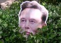 musk’s-“world-war-iii”-threat-in-twitter-lawsuit-haunts-him-at-openai-trial-–-ars-technica