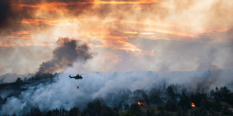 wildfire-smoke-risks-understudied,-review-paper-warns-–-inside-ucr-–-uc-riverside