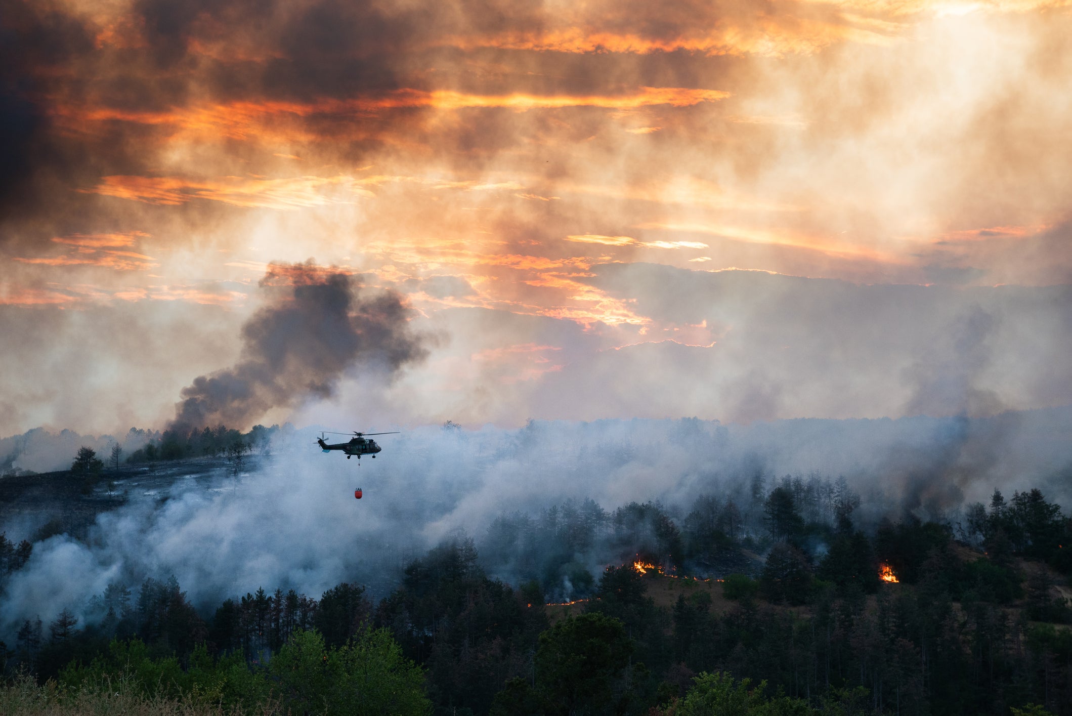 Wildfire smoke risks understudied, review paper warns – Inside UCR – UC Riverside