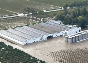 agriculture-counts-storm-damage-costs-–-enca