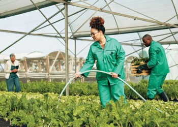 food-forward:-how-governments-can-be-more-intentional-about-food-security