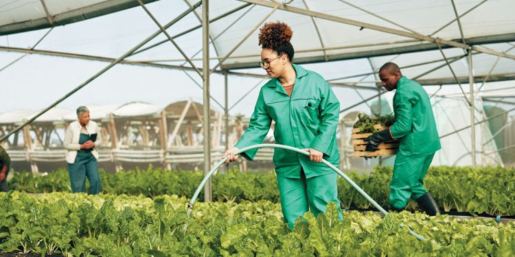 food-forward:-how-governments-can-be-more-intentional-about-food-security