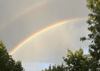 may-long-brought-snow,-up-to-30-mm-of-rain-to-parts-of-southern-saskatchewan-|-650-ckom