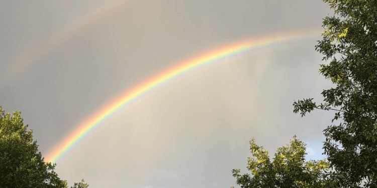 may-long-brought-snow,-up-to-30-mm-of-rain-to-parts-of-southern-saskatchewan-|-650-ckom