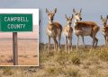 ‘no-permission,-just-shoot’:-instagram-videos-lead-to-wyoming-poaching-charges