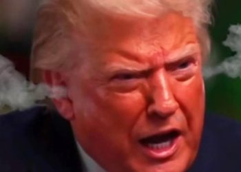people-are-meme-ing-donald-trump’s-“meet-the-press”-meltdown-–-yahoo
