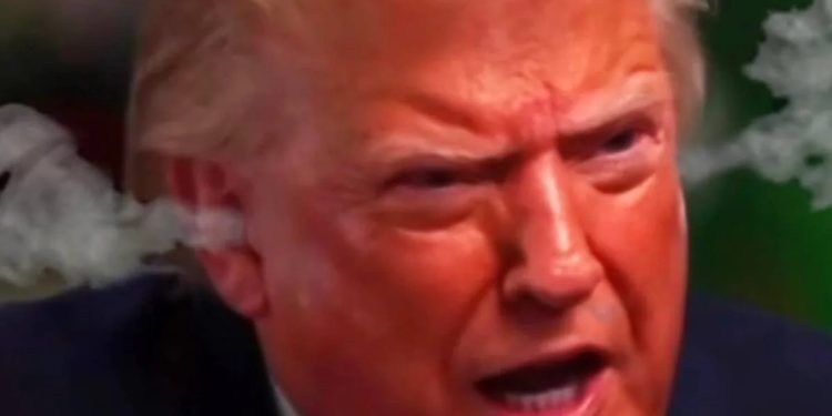 people-are-meme-ing-donald-trump’s-“meet-the-press”-meltdown-–-yahoo