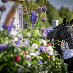 sale-preview:-goffs-london-sale-|-topics:-goffs-–-thoroughbred-racing-commentary