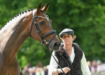 two-title-contenders-held-and-one-leaves-competition-at-bramham-final-trot-up