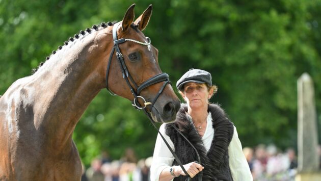 two-title-contenders-held-and-one-leaves-competition-at-bramham-final-trot-up