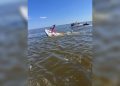 whale-strikes,-sinks-new-jersey-fireboat,-giving-crew-seconds-to-abandon-ship