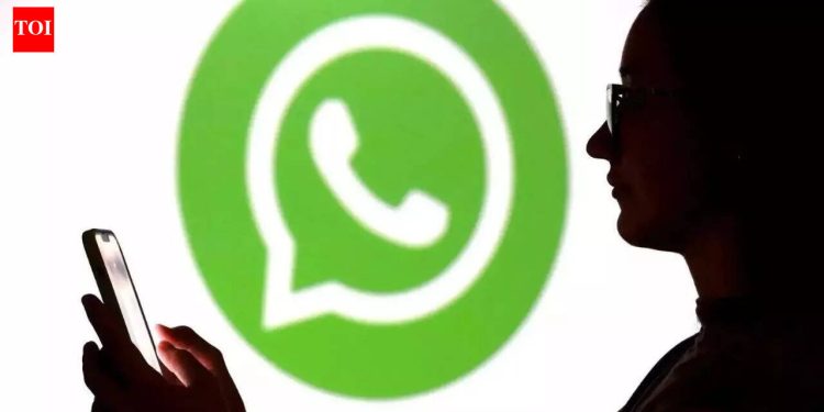 govt-gives-whatsapp-3-more-days-to-reply-to-notice-on-username-–-the-times-of-india