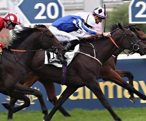 looking-back-at-the-bayerisches-zuchtrennen-|-thoroughbred-racing-commentary