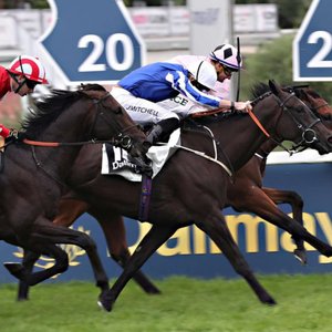 looking-back-at-the-bayerisches-zuchtrennen-|-thoroughbred-racing-commentary