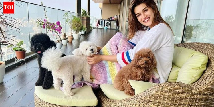 inside-kriti-sanon’s-duplex-sea-facing-penthouse-worth-rs-78-crore,-which-has-a-clubhouse-…