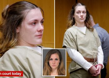 nj-babysitter-accused-of-child-sex-assault-whimpers-in-pink-handcuffs-–-ny-post