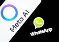 meta-argues-section-230-bars-fake-investment-ad-impersonation-claims-–-courthouse-news