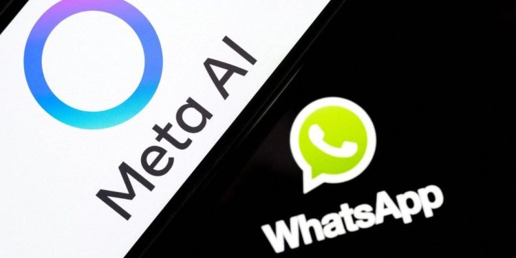 meta-argues-section-230-bars-fake-investment-ad-impersonation-claims-–-courthouse-news
