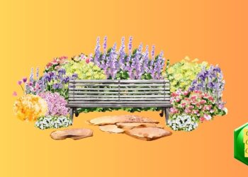 smith-gilbert-gardens-to-host-harvest-gathering-fundraiser-featuring-garden-to-table-dining-…