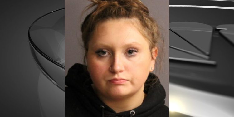 st-johnsville-woman-accused-of-choking,-dragging-victim-in-domestic-incident-–-wnyt.com