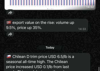 salmon-business-expands-market-coverage-with-whatsapp-trading-alerts