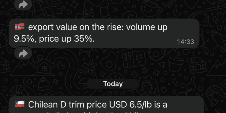 salmon-business-expands-market-coverage-with-whatsapp-trading-alerts