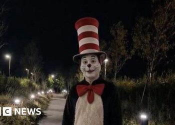viral-cat-in-the-hat-tiktok-trend-sparks-fake-videos-and-real-fear-–-bbc