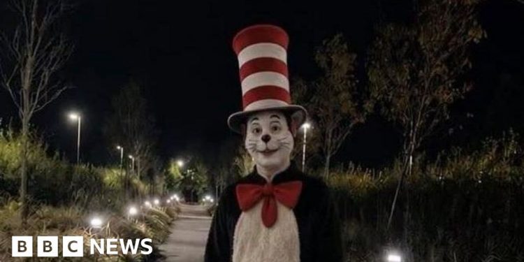 viral-cat-in-the-hat-tiktok-trend-sparks-fake-videos-and-real-fear-–-bbc