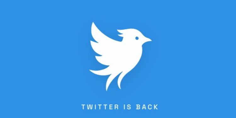 new-twitter-launches,-says-musk’s-x-gave-up-the-name-–-ars-technica