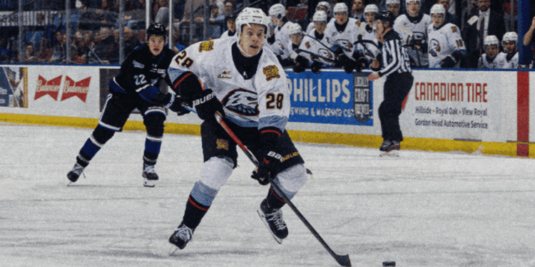 portland-winterhawks-games-will-be-a-lot-easier-to-watch-this-upcoming-season-–-katu