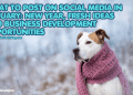 what-to-post-on-social-media-in-january:-new-year,-fresh-ideas-and-business-…