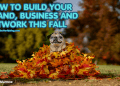 how-to-build-your-brand,-business-and-network-this-fall-|-the-social-media-butterfly