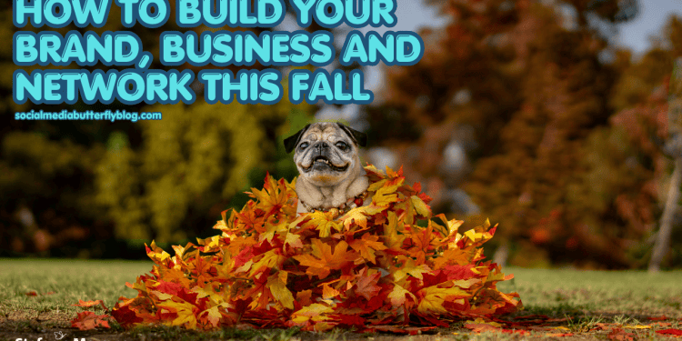 how-to-build-your-brand,-business-and-network-this-fall-|-the-social-media-butterfly