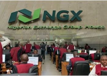 ngx-invest-expands-primary-market-access-with-whatsapp-channel-–-thisdaylive