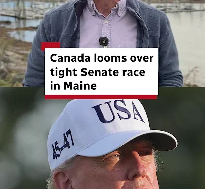 canada-looms-over-tight-senate-race-in-maine-–-youtube