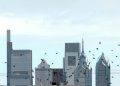 philly’s-wayward-birds-are-landing-in-backyards,-facebook-groups,-and-vet-offices