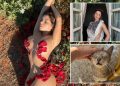 instagram-model-demi-rose-mawby-vanished-and-became-a-cat-lady-after-tragedy-hit