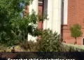 southern-utah-snapchat-child-exploitation-case-ends-with-10-year-prison-sentence-–-youtube