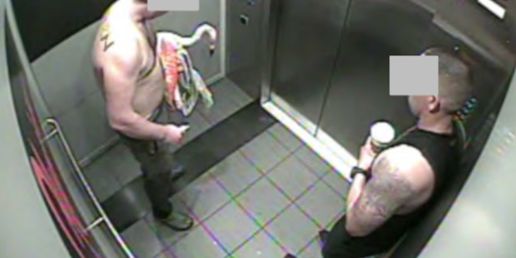 man-admits-stealing-live-flamingo-from-las-vegas-casino-after-drinking-’30-and-40-beers’