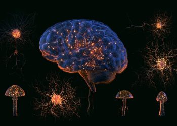 psilocybin-replaces-lost-synapses-in-depressed-brains-–-neuroscience-news