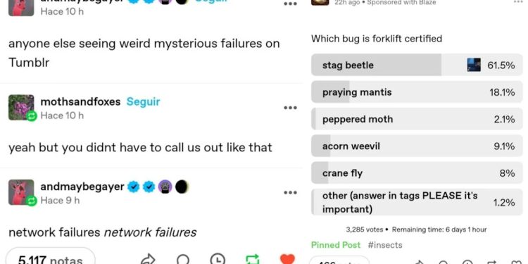 20-of-the-greatest-hits-from-the-past-on-tumblr-–-yahoo