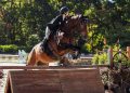 no-2-gamecocks-host-no.-8-fresno-state-for-final-fall-meet-at-home-–-south-carolina-athletics